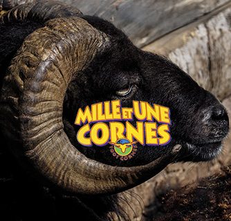 Ferme des Mille et une Cornes
